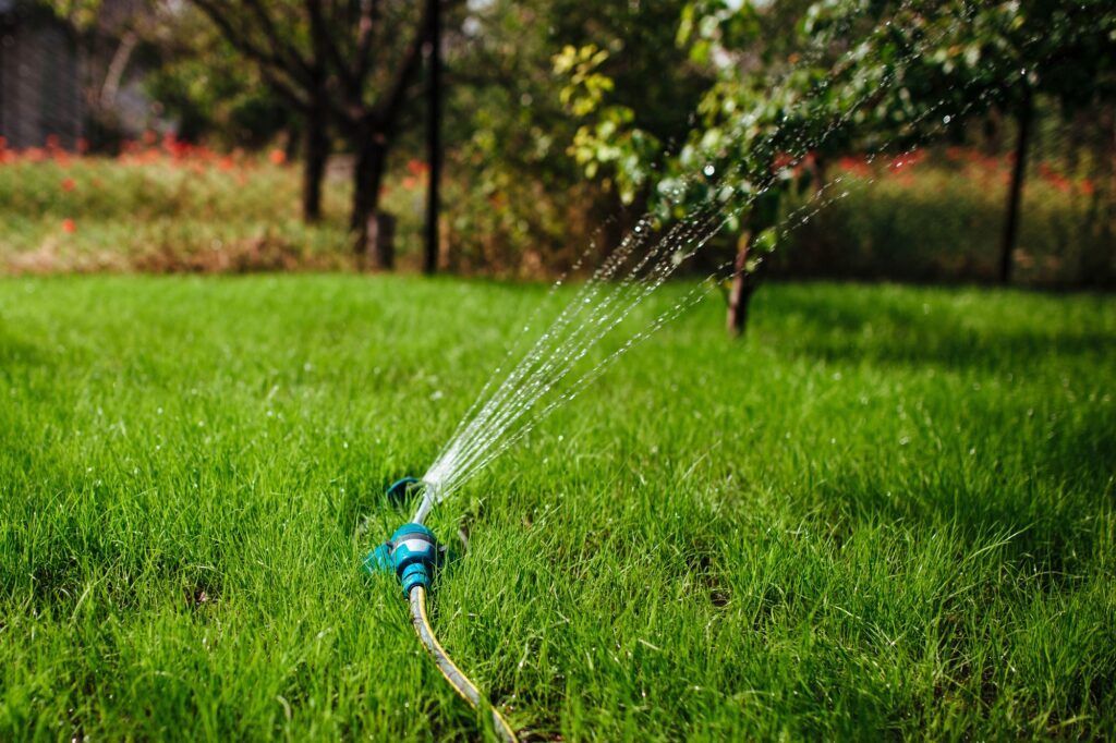 garden sprinkler irrigates the lawn, gardening and landscaping concept