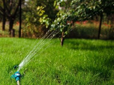 garden sprinkler irrigates the lawn, gardening and landscaping concept