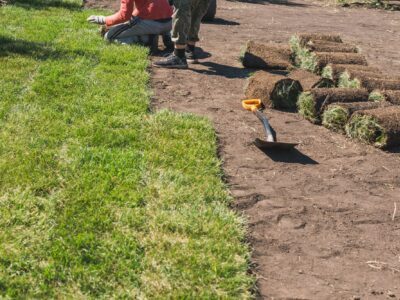 Laying sod for new garden lawn - turf laying concept