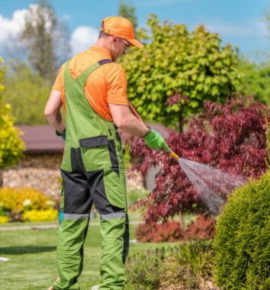 Manual Garden Irrigation